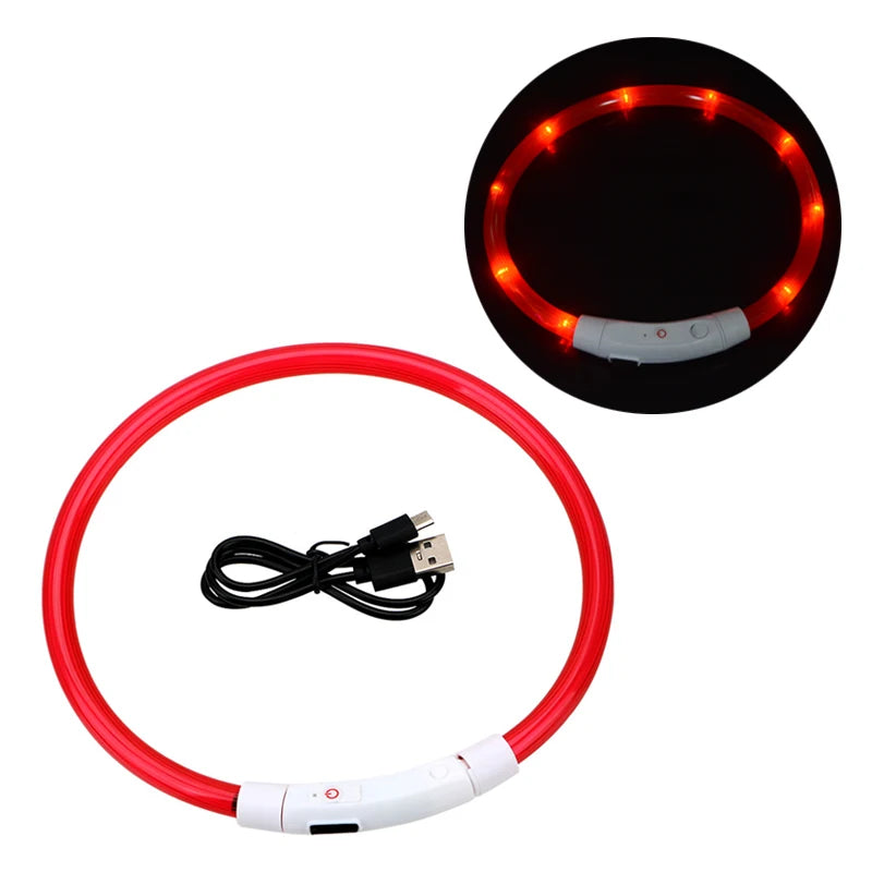 Dog Luminous Charge