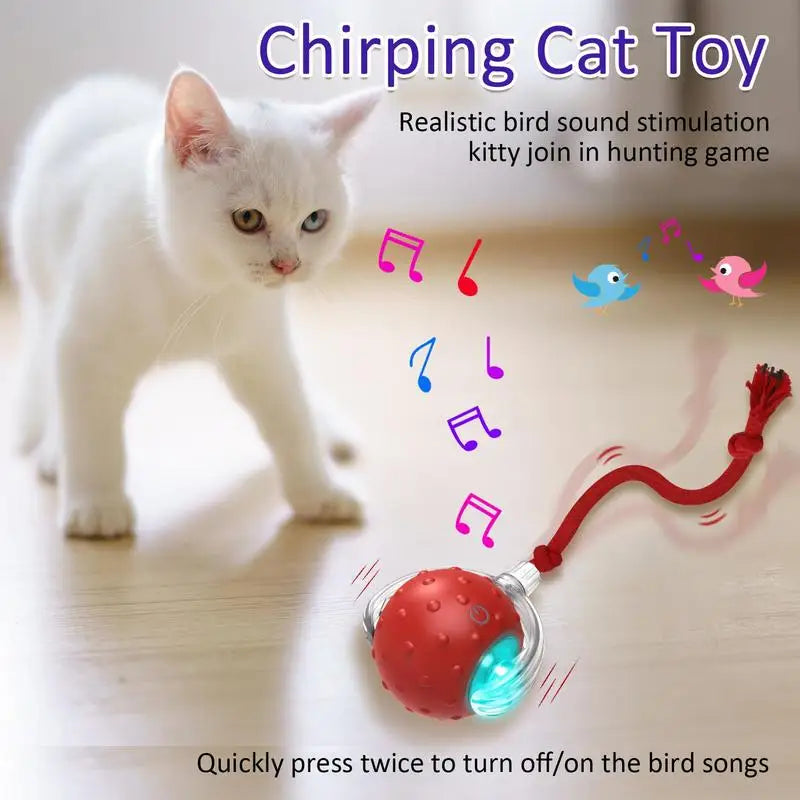 Cat Interactive Ball Toys