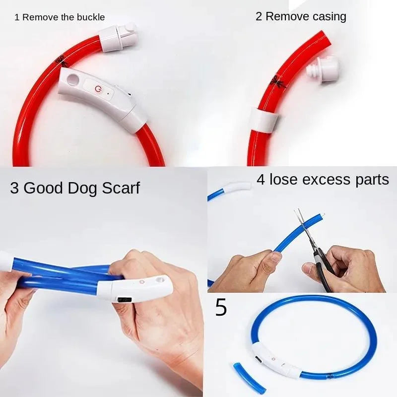 Dog Luminous Charge