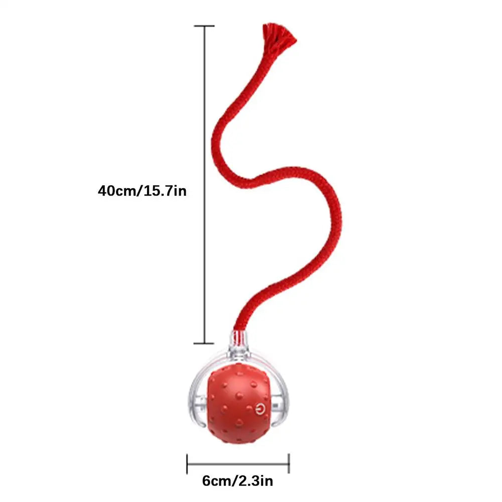 Cat Interactive Ball Toys