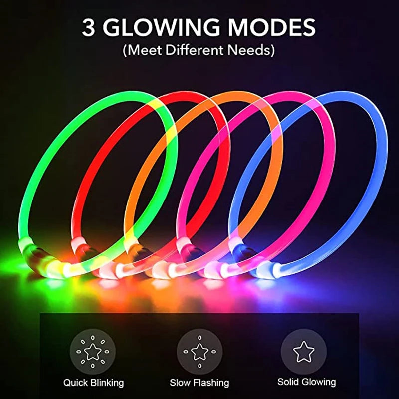 Dog Luminous Charge