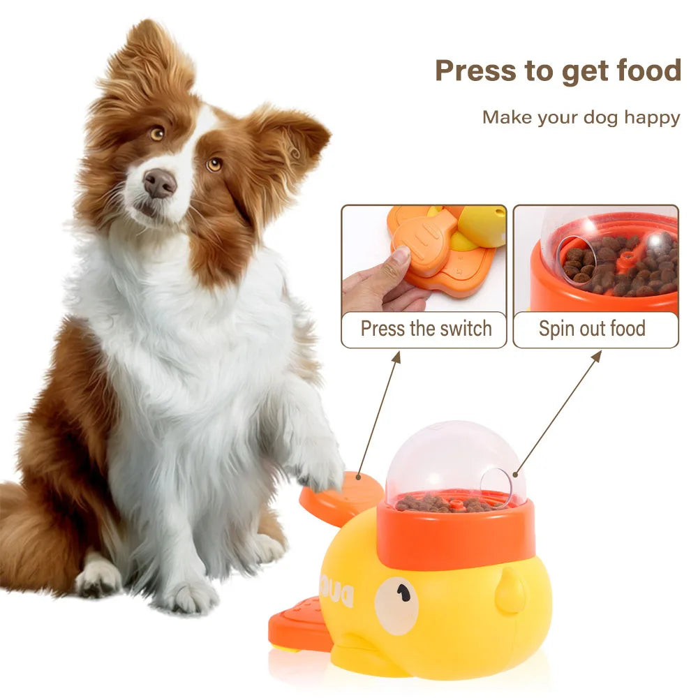 Best puzzle for your pet