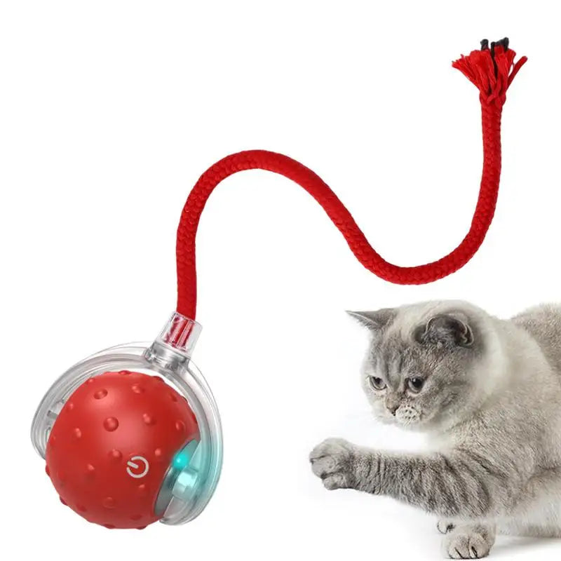 Cat Interactive Ball Toys