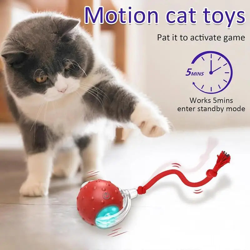 Cat Interactive Ball Toys