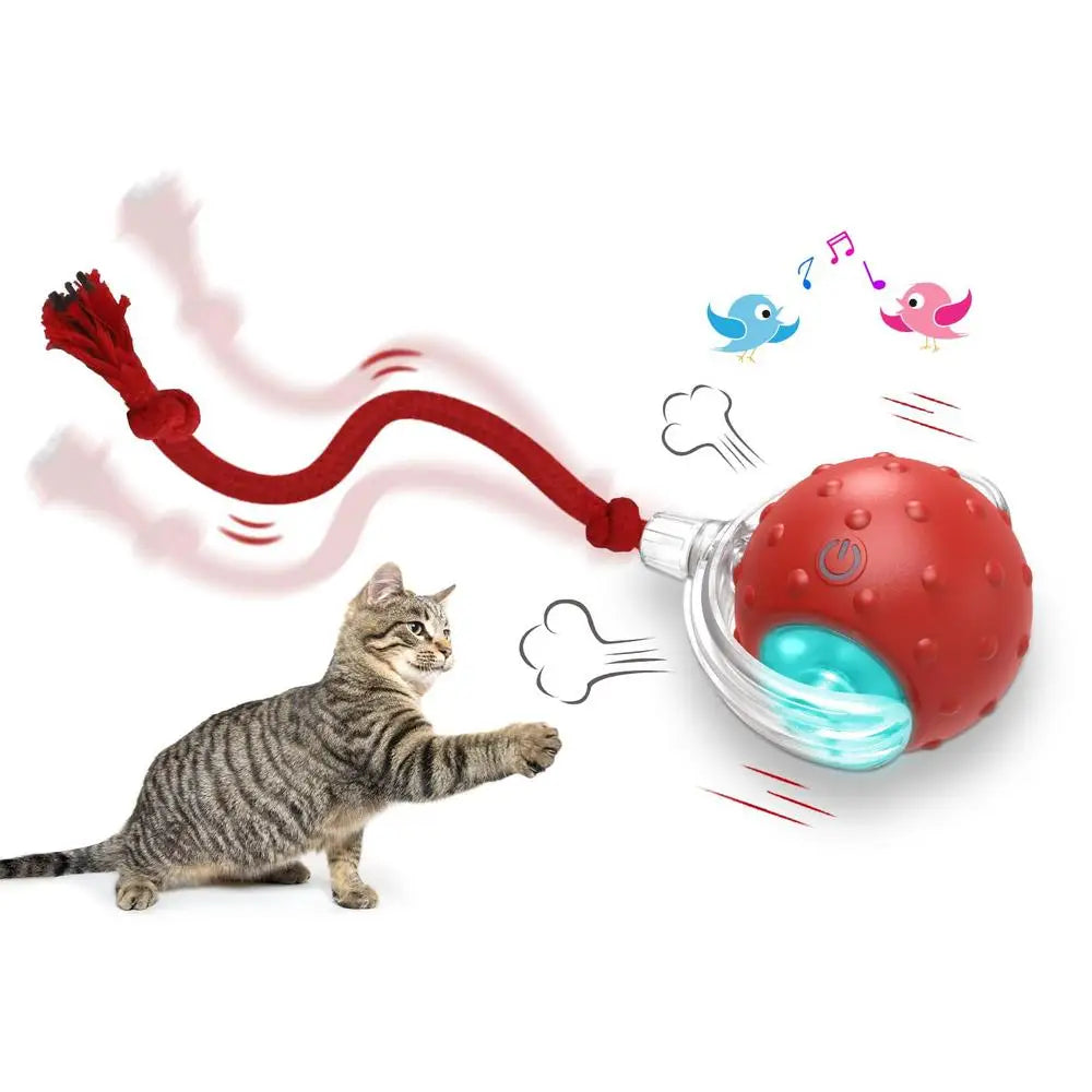 Cat Interactive Ball Toys