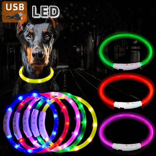 Dog Luminous Charge