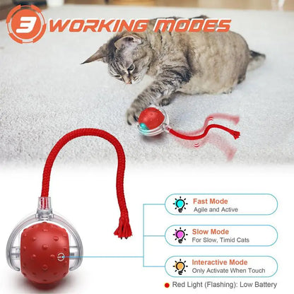 Cat Interactive Ball Toys